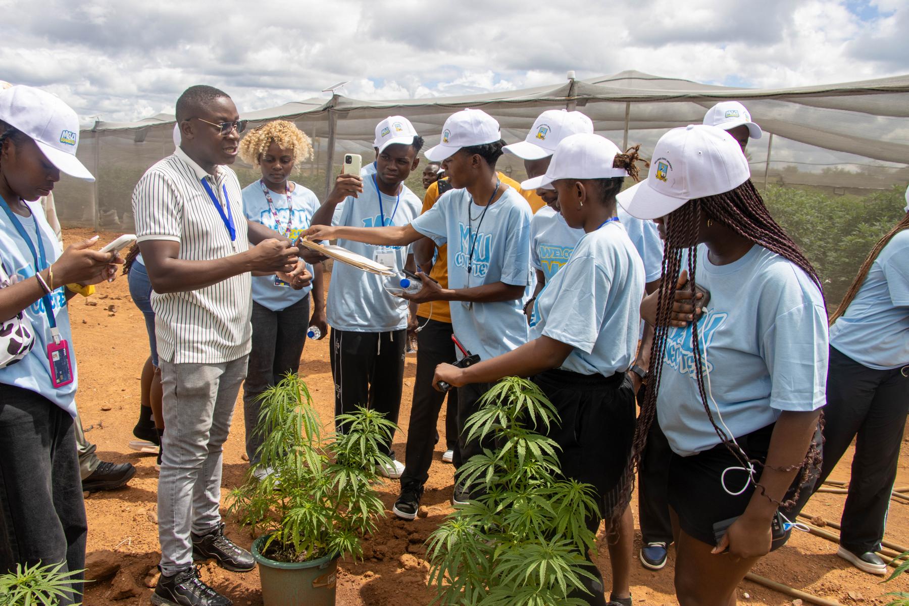 MSU CONNECTED CONTENT CREATOR'S TOUR